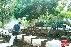 'Son La maintains 262 safe agro-aquatic supply chains