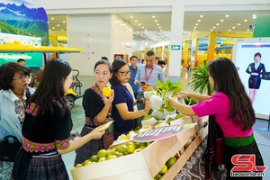 Sơn La hưa dỏn nẳng Hội chợ Mua Thu