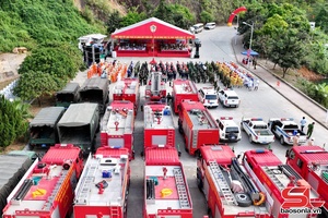 Provincial-level firefighting and rescue drill successfully held