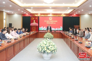 Standing Vice Chairman of provincial People’s Committee works with Health Department