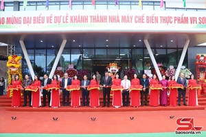 Muôz lok zôngv Tsêr máy uô jâuz, kol, txir VFI Sơn La