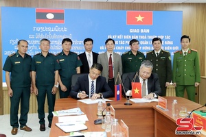 Tủm pua nả vịa cạt kiên quản lý pảy chự cánh cặm phong phay mảy pá nẳng phổng đèn mương Sơn La – Hủa Phăn