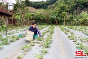  Luông piến máư nẳng phổng po me chựa nọi côn