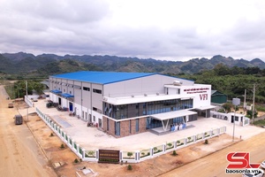 'Son La province attracts investment in agricultural processing