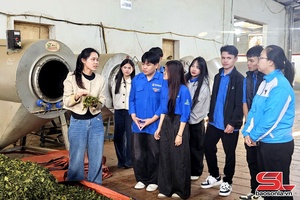 Study tour to exemplary youth startup models organised