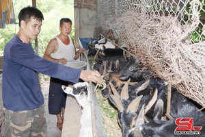 'Paz pêx xênhv nhoz jêx jok muôx hâux lưv uô 