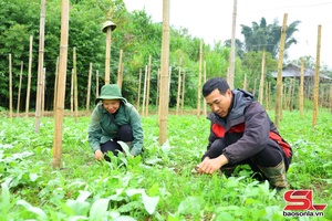 ' Lài chương trình choi dừa mả pe dệt dượn