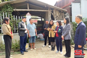 'Gia Phu commune declared free of African swine fever