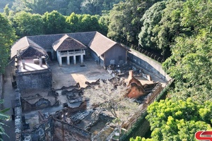 Peo phãy cách mạng