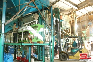 ' Ca chương hang chôm hặp khài pày mương nọ cựt đảy 215 triệu USD