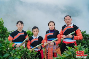 'Ta Xua bamboo tube tea listed in Top 20 outstanding projects in National Startup Competition 2025