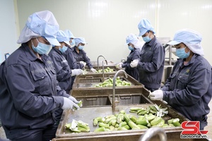 Gruô hu cxuô tus khênhx, paz pơưs muôz nhiax lês hâux lưv chia huôv tsar nhiax txiax