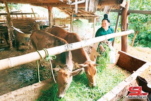 Por hưv jông têx tsiax tsik chia moz ơưk