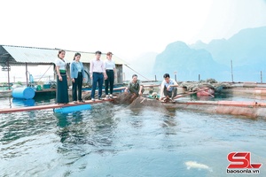 'Aquatic output exceeds 9,200 tonnes