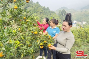 'Pếnh khày lang đì ngơn cốc nẳng phổng po me chựa nọi côn
