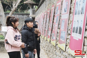 Son La’s service revenue reaches nearly 11.43 trillion VND