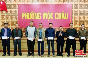 Pày dàm cánh nhôm xỏng chương haử côn đảy tin chưa nẳng phương Thảo Nguyên cánh Mộc Châu