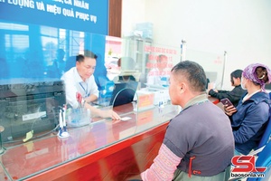 'Tan Yen: 100% of administrative procedure applications handled on time