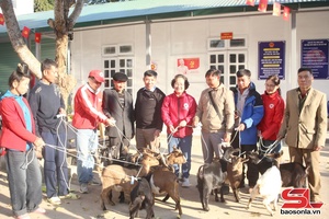 10 breeding goat pairs presented to poor households in Muong Khieng commune