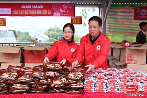 'Programme brings Tet atmosphere to border areas