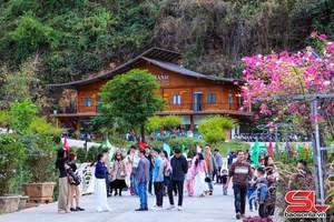 Sơn La tok jê 300 cxênhz lưv pưs kruô nuôv zax hâur luz Tsiaz Têz qơưk Nênhk shông 2026