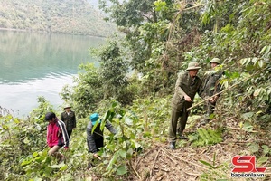 'Sơn La tuôr xav chos yiaz 99,504 ha jôngr