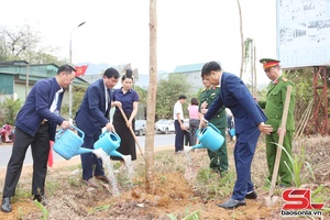 Yen Chau launches tree-planting festival