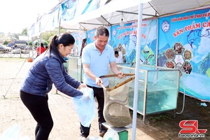 Kror jông txix qơư kriz têx txux chi, muôs kôngz lông thiaz tênhz tso đuôz zênhx zav nuôv zax Quỳnh Nhai