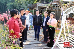 'Mường La tỏn cài 2.000 vặt khék qua ỉn