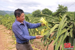 Lang đì té xủ công nghệ saứ dệt dượn