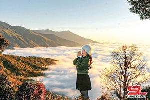 'Tourism revenue in Ta Xua reaches 75 billion VND