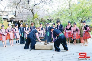 'Van Ho has over 70% of households recognised as cultural families