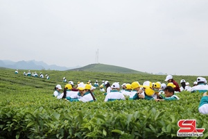 Tsik tsês huôv tsar, tu jông thiaz uô luôv kôngz txir nox 