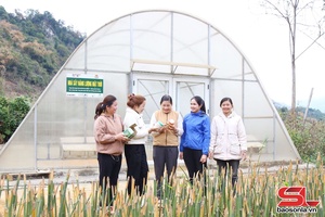 'Enhancing role, standing of ethnic minority women