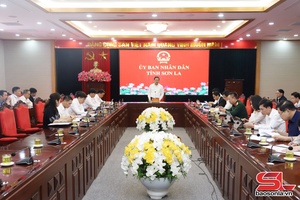 Moz siaz đơưk têx cêr phiv liv trâu têx dự án tuôr thênhv ntêr hnuz