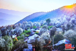 Têx huv jông nthuôr muôs hâur Hnuz grâuv pax Pax txir tuôz ziz xã Ngọc Chiến shông 2026