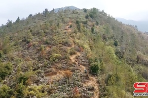 Ngọc Chiến xâur bo chaix tưr ndê trôngz “Sơn tra Sky Race” 2026