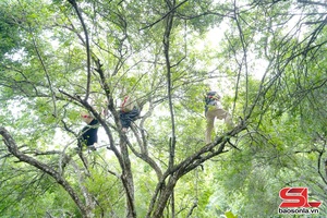 Lễ púc chuân "Púk bók mự nị - mả pe qua ỉn pày nả" phương Chiêng An pì 2026