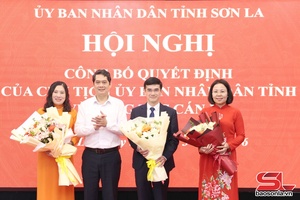 Decisions of provincial People’s Committee Chairman on personnel work announced