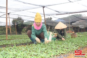 'Nhẳn pao cò chựa tiêng àn hảư po hay me na