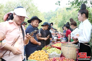 Paz nov Famtrip cxênhz hâux lưv nuôv zax ntơưv phường Chiềng An