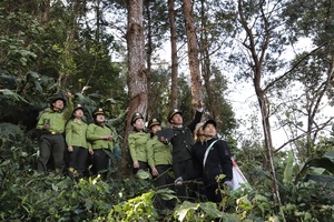 'Efforts made to implement national programme on conservation of endangered, rare wildlife species