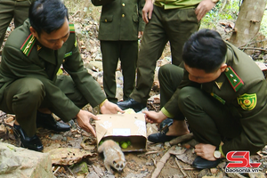 Chấp năm Chương trình hươn mương pảy chự pưng tàng tồ pá quý