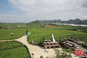 Lax trôngz Mộc Châu – Qơư jông trâu kruô tuôx ndis hâur jias so shông no