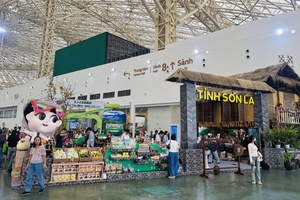 Son La helps enterprises improve productivity and product quality