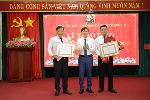 Party membership badges presented on President Ho Chi Minh's birth anniversary occasion