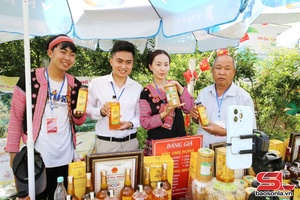 Livestream cáo ảng chương hay khòng na Mộc Châu