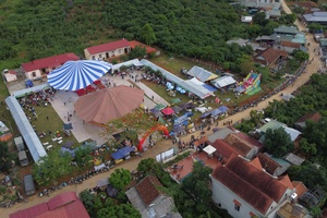 Lively plum festival held in Yen Son