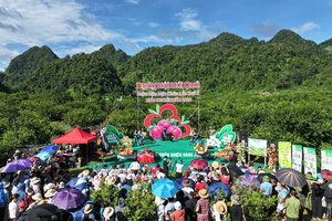 Plateau comes alive with fruit-picking festival
