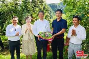 Paz côngz xưv Đại sứ đặc mệnh toàn quyền Nhật Bản ntơưv Việt Nam ndis shuôk kror qơư huôv tsar nuôv zax, kôngz lông thax tsav Mộc Châu thiaz Vân Hồ